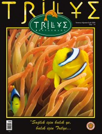Trilye Dergi Sayı No: 14